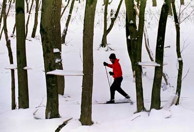 Cross country skiier