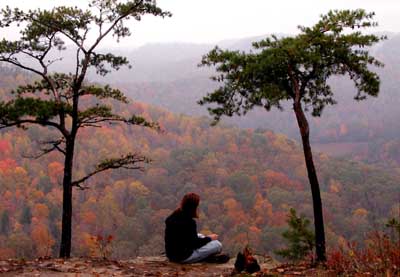 Red River Gorge Fall
