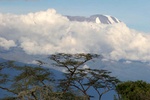 Mt Kikimanjaro