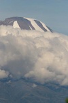 Mt Kilimanjaro