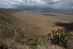 Ngorongoro crater rain