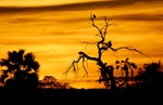 Selous sunset in Tanzania