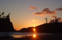 Highlight for Album: Olympic National Park