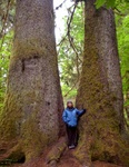 MK and big  tree
