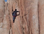 Joshua Tree climber 1