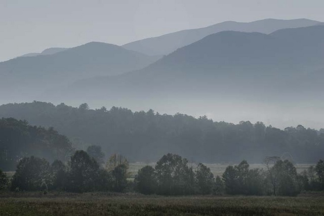 Cades Cove morning fog