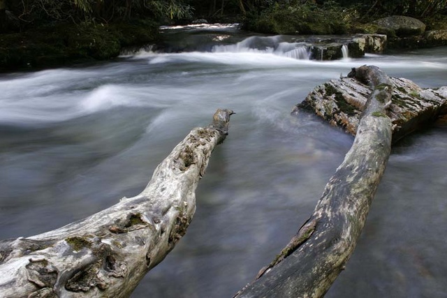 Oconaluftee River, Smoky Mountains