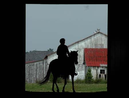 barnbarn2