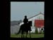 barnbarn2