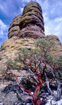 Chiricahua 1